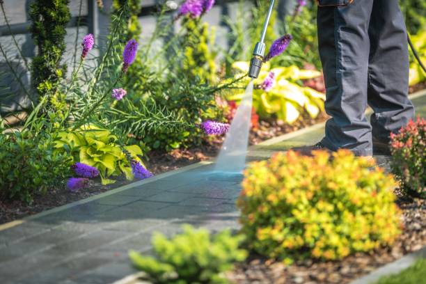 Best Commercial Pressure Washing in Montebello, CA